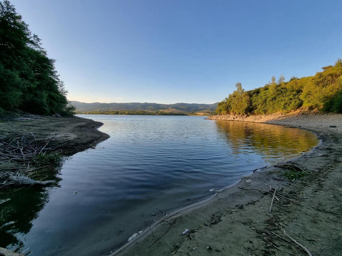 Domki Z Gorki Na Pazurki Falsztyn Экстерьер фото